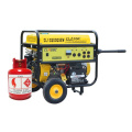 6000w Home Use lpg Generator lpg Gas Generator Price lpg Electric Generator